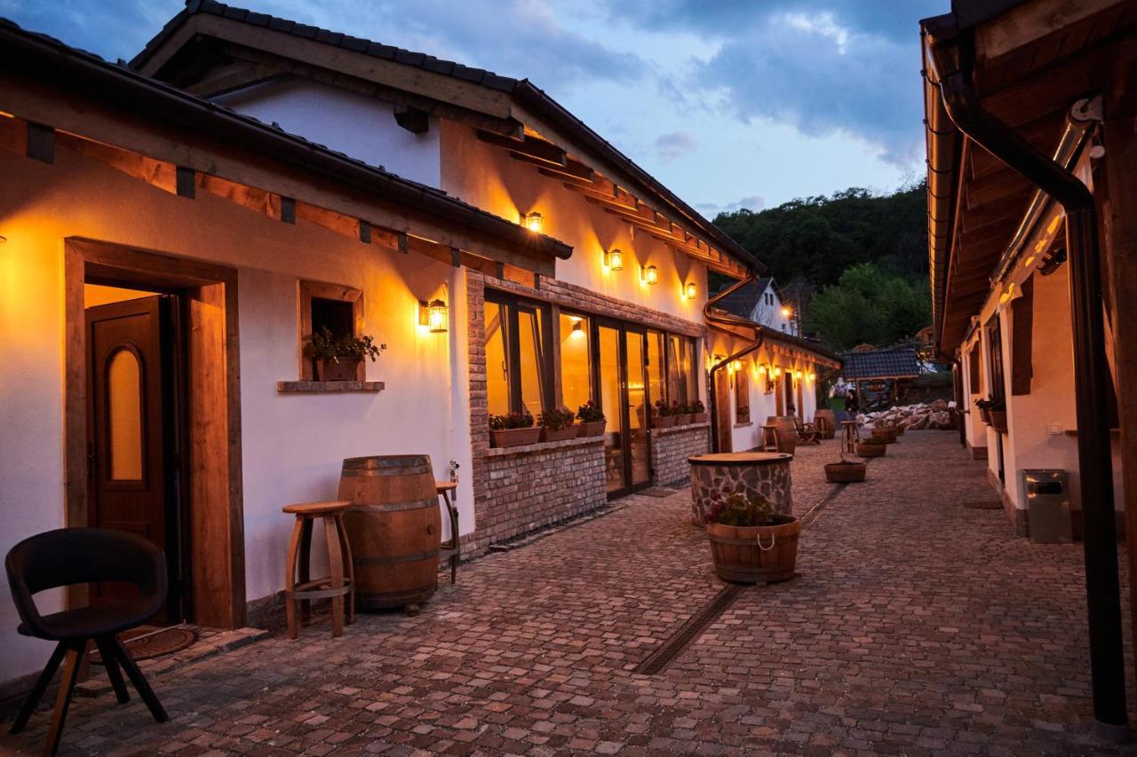 Complex Butoaiele Transilvaniei - Cazare & Spa - Natura - Relaxare Mediaş Εξωτερικό φωτογραφία