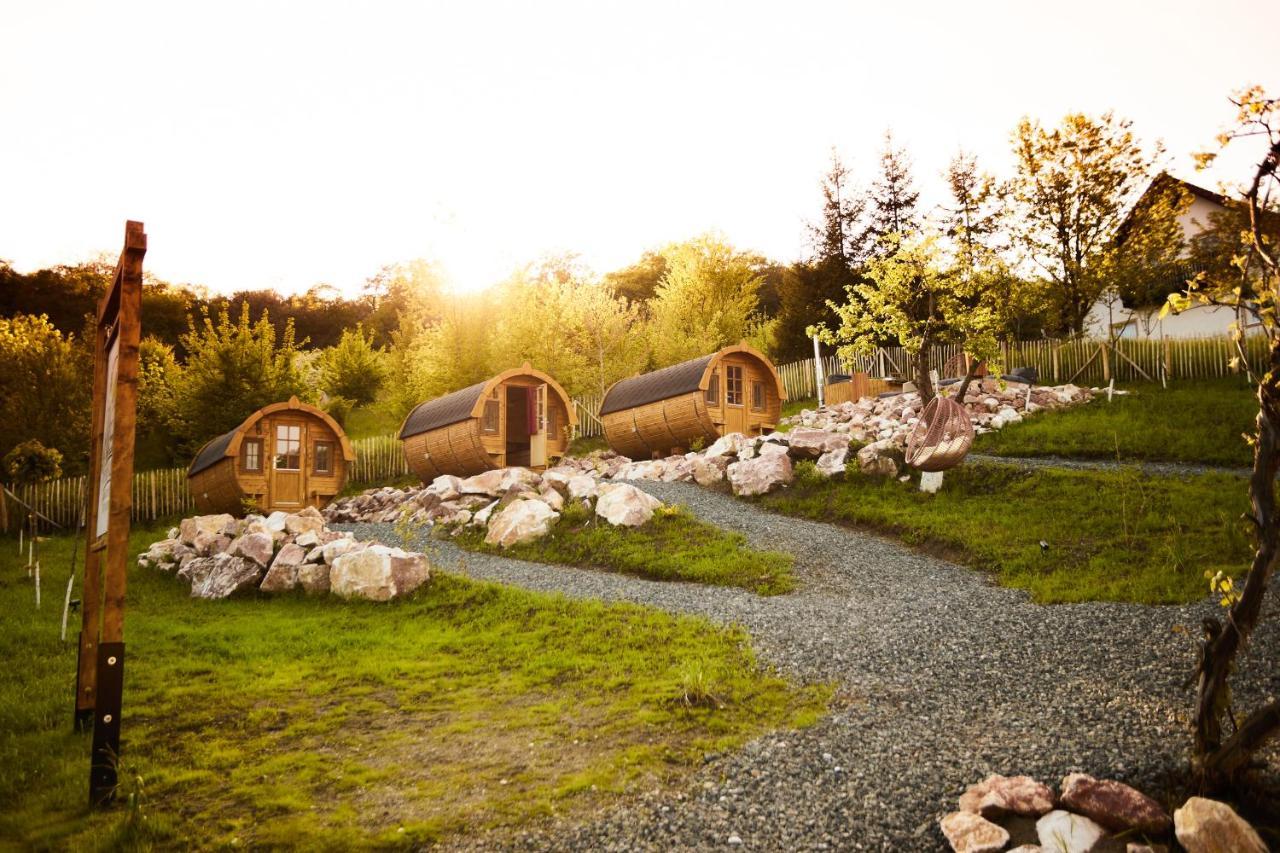Complex Butoaiele Transilvaniei - Cazare & Spa - Natura - Relaxare Mediaş Εξωτερικό φωτογραφία