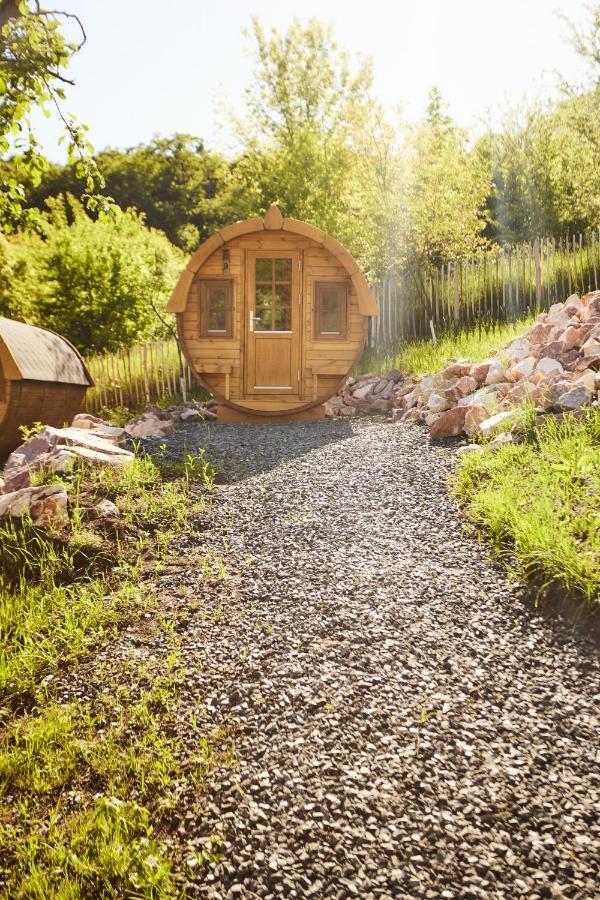 Complex Butoaiele Transilvaniei - Cazare & Spa - Natura - Relaxare Mediaş Εξωτερικό φωτογραφία
