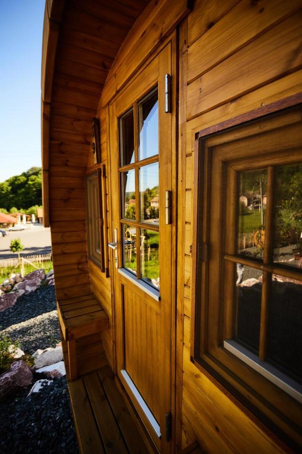 Complex Butoaiele Transilvaniei - Cazare & Spa - Natura - Relaxare Mediaş Εξωτερικό φωτογραφία