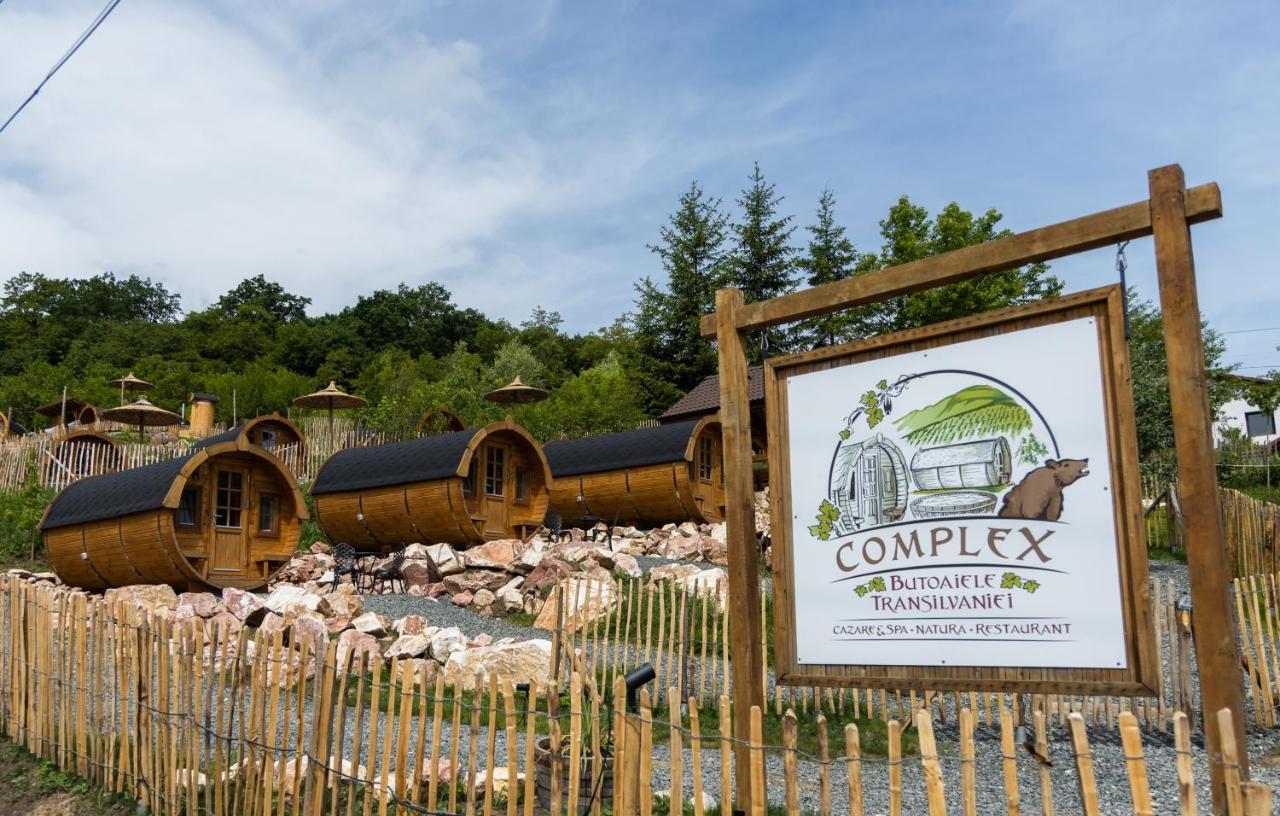 Complex Butoaiele Transilvaniei - Cazare & Spa - Natura - Relaxare Mediaş Εξωτερικό φωτογραφία