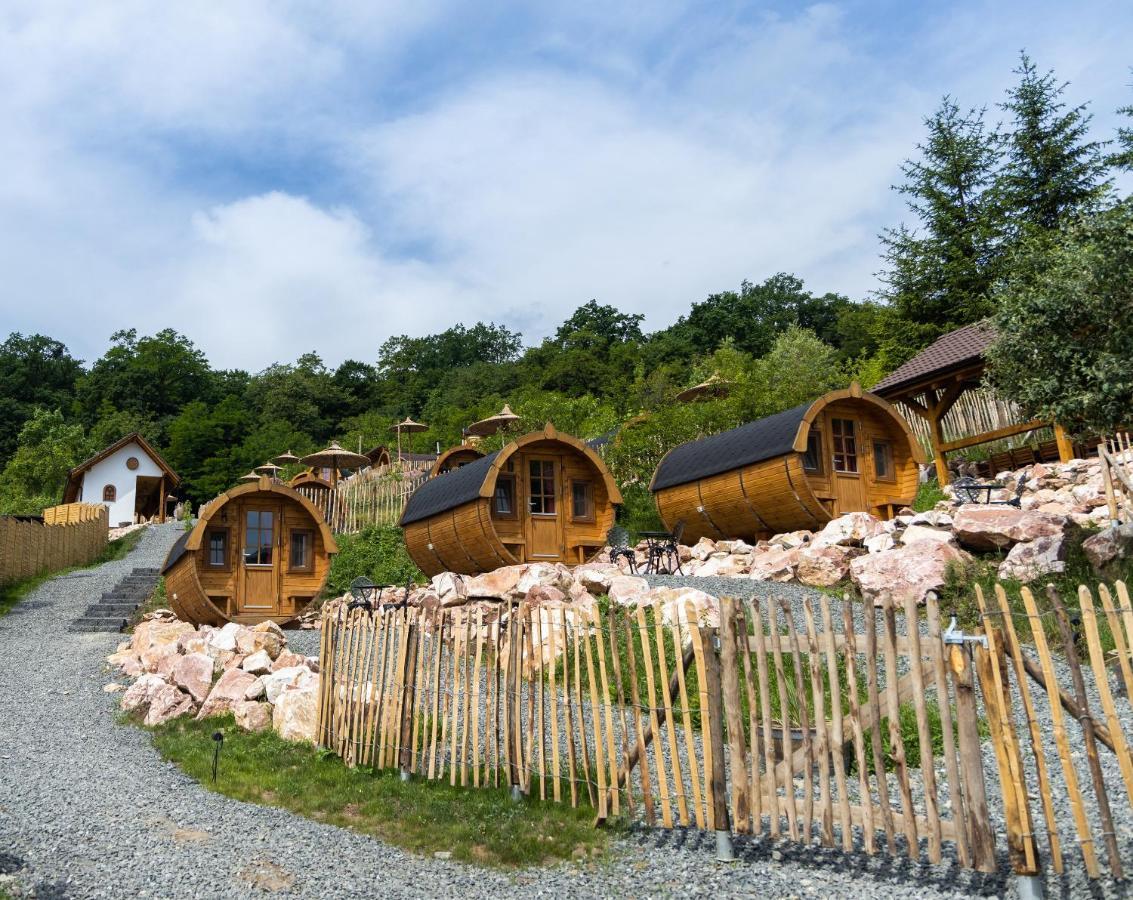 Complex Butoaiele Transilvaniei - Cazare & Spa - Natura - Relaxare Mediaş Εξωτερικό φωτογραφία