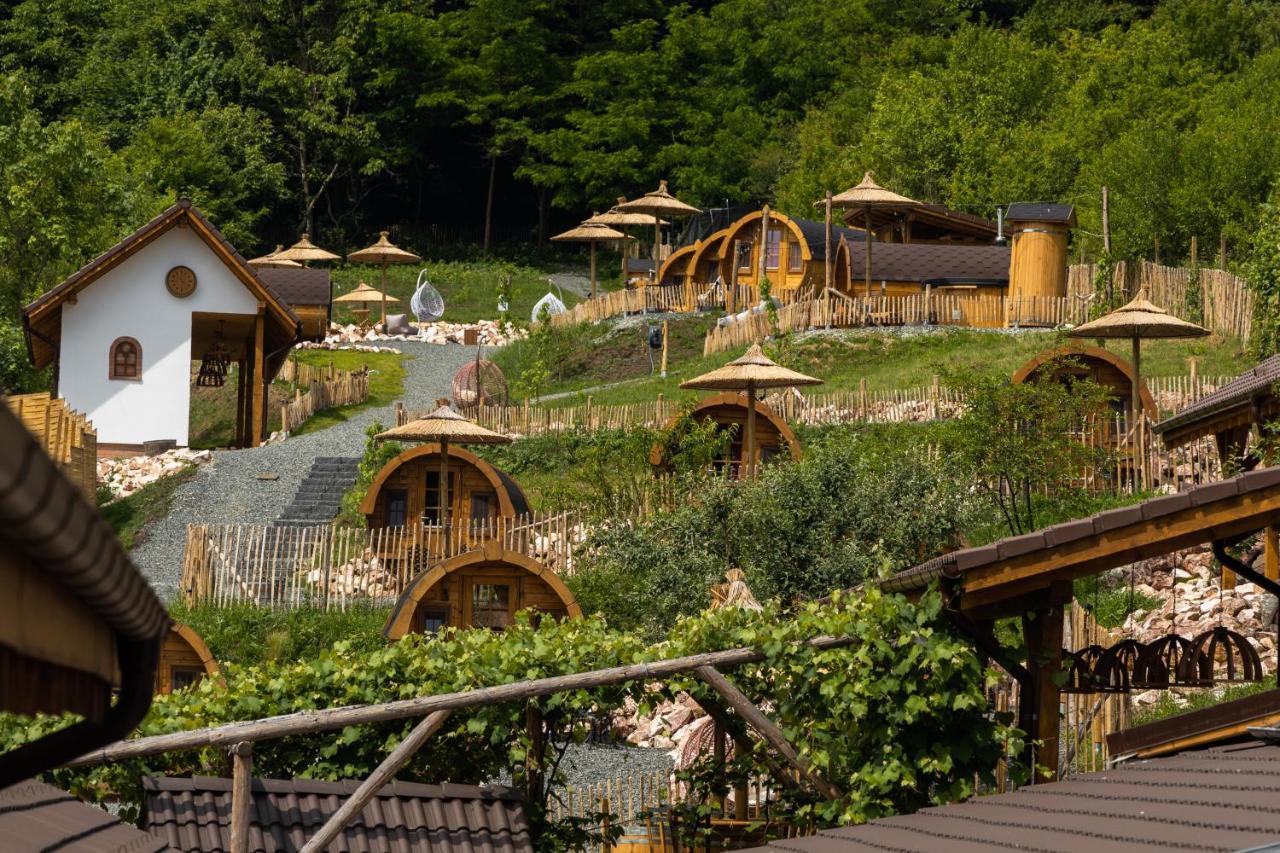 Complex Butoaiele Transilvaniei - Cazare & Spa - Natura - Relaxare Mediaş Εξωτερικό φωτογραφία