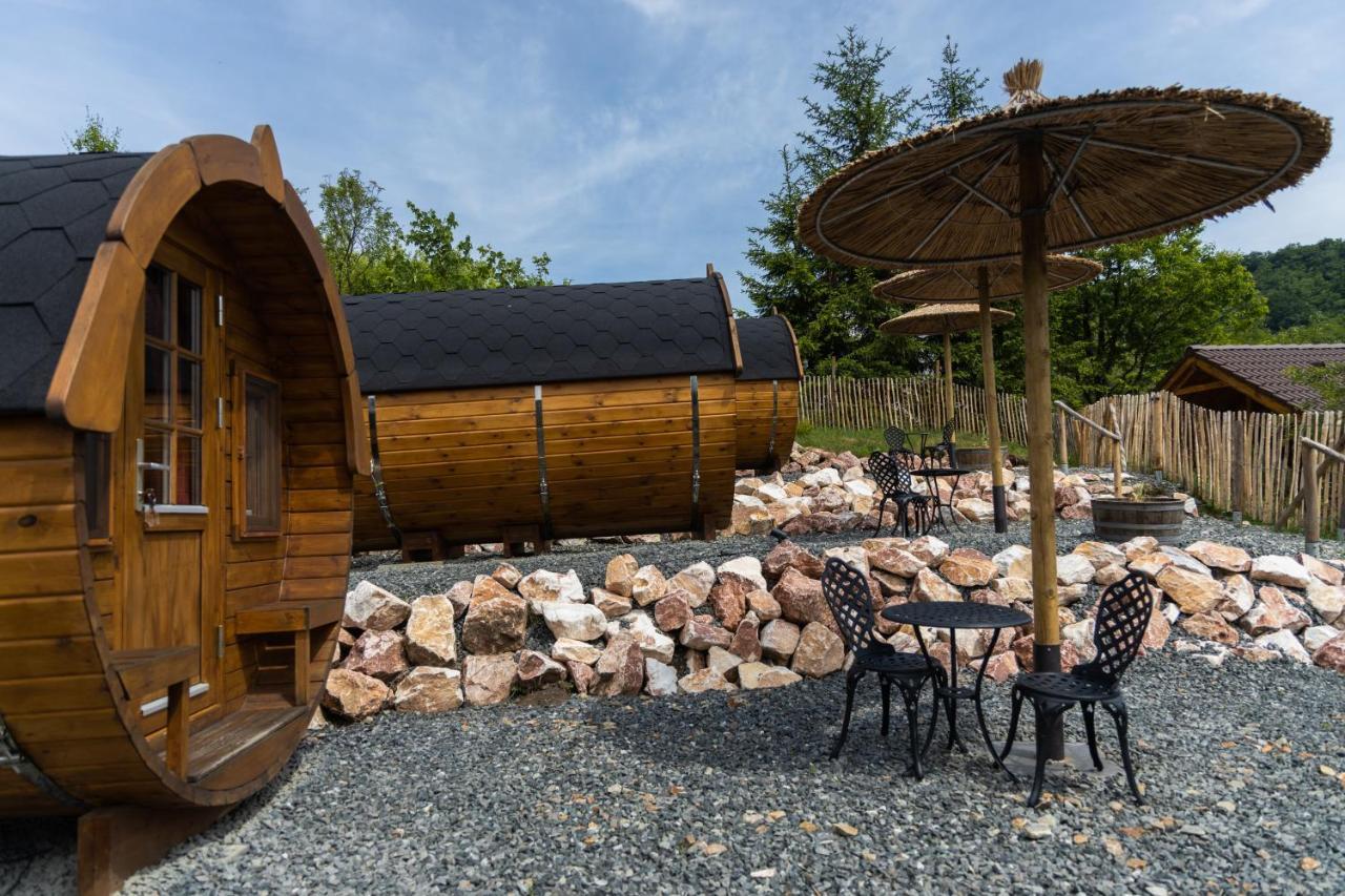 Complex Butoaiele Transilvaniei - Cazare & Spa - Natura - Relaxare Mediaş Εξωτερικό φωτογραφία