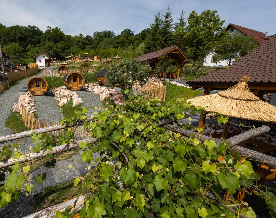 Complex Butoaiele Transilvaniei - Cazare & Spa - Natura - Relaxare Mediaş Εξωτερικό φωτογραφία