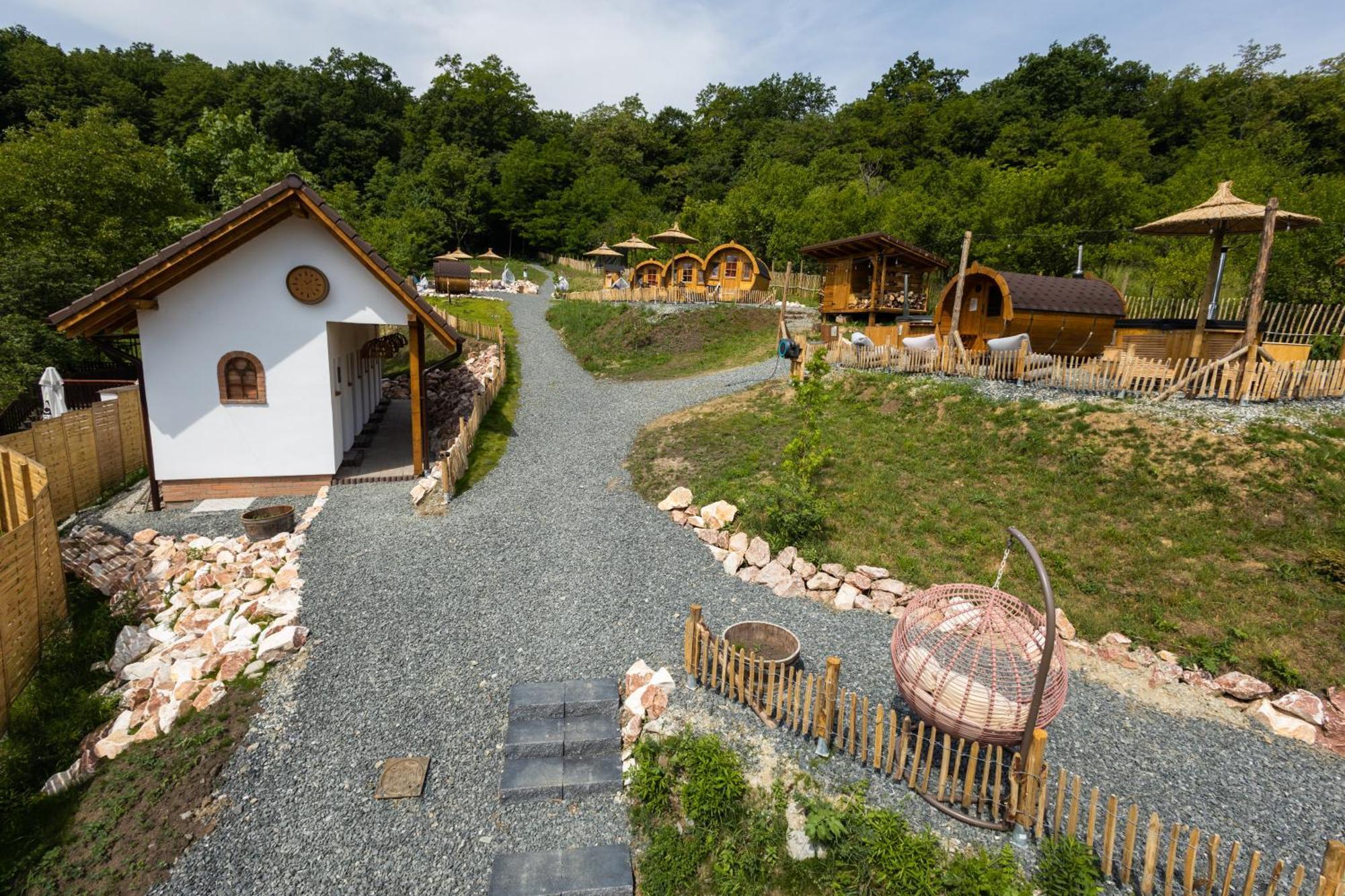 Complex Butoaiele Transilvaniei - Cazare & Spa - Natura - Relaxare Mediaş Εξωτερικό φωτογραφία