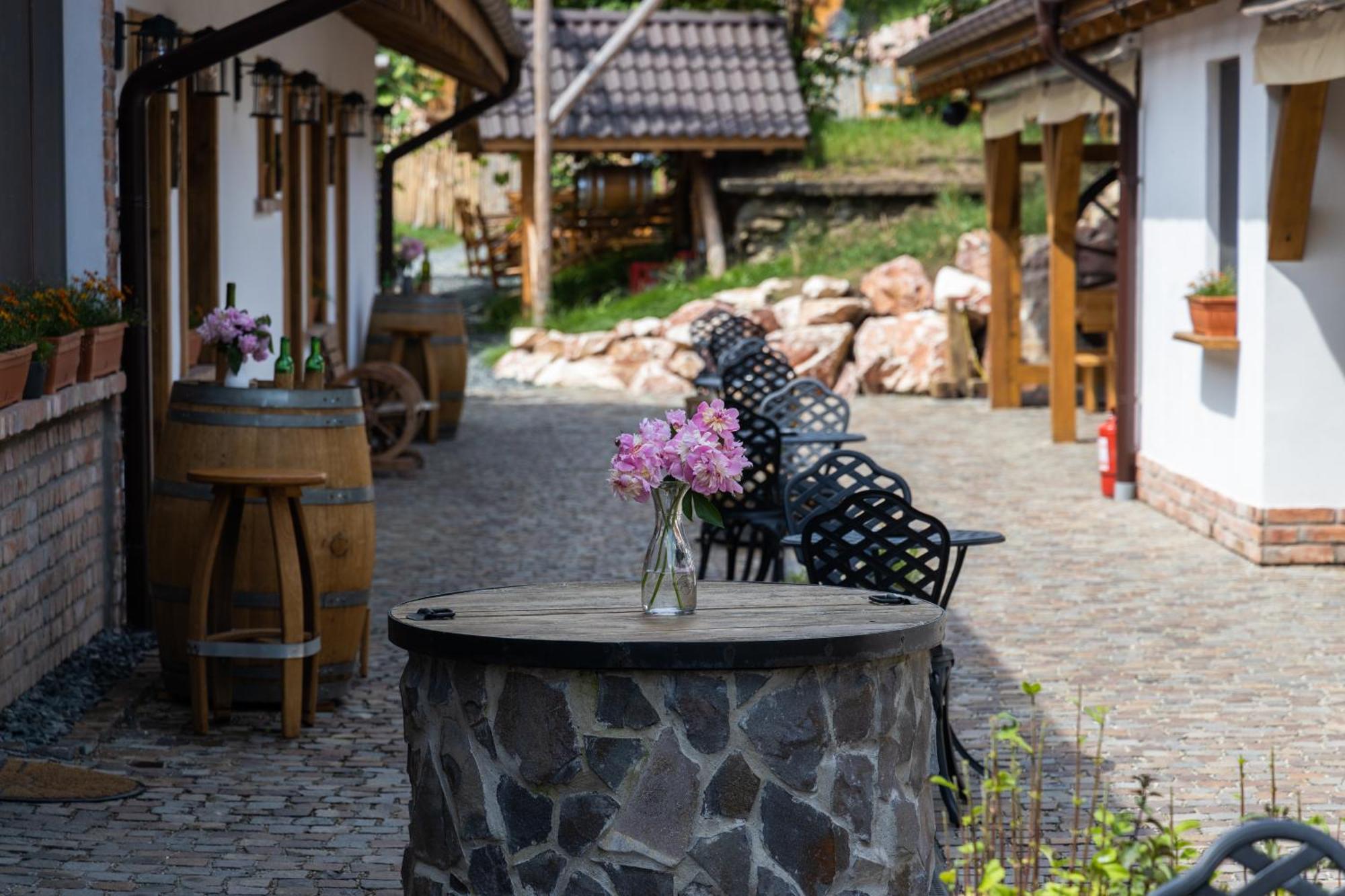Complex Butoaiele Transilvaniei - Cazare & Spa - Natura - Relaxare Mediaş Εξωτερικό φωτογραφία